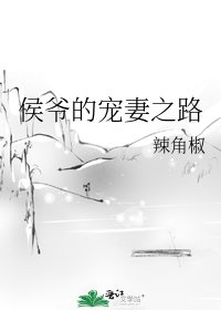 侯爷的宠妻之路